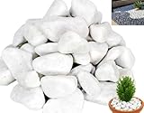 Canto Rodado Blanco 25-40MM para Decoración de Jardines y Acuarios,3kg, 5kg, 8kg, 10kg, 20kg Saco...
