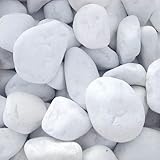 Vegara Stone Piedra Jardín Decoración Canto Rodado Blanco Puro 2-4 cm (10 kg)