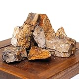 Amtra - Roca Petrificada, Decoración De Acuarios, Natural, No Caliza, 1 Kg