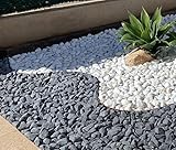 Canto Rodado Negro o Blanco 2-4cm - 3kg, 5kg, 10kg, 20kg para Decoración de Jardines, Caminos o...