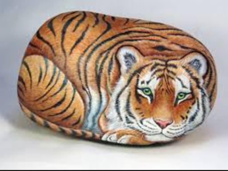 Tigre en piedras