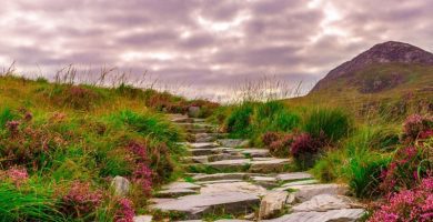 Piedras naturales para jardines