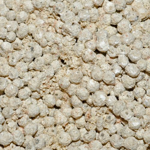 Oolito el huevo de piedra