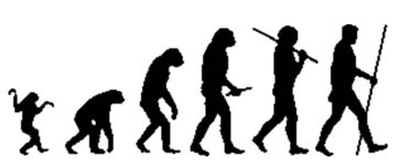 Evolucion humana